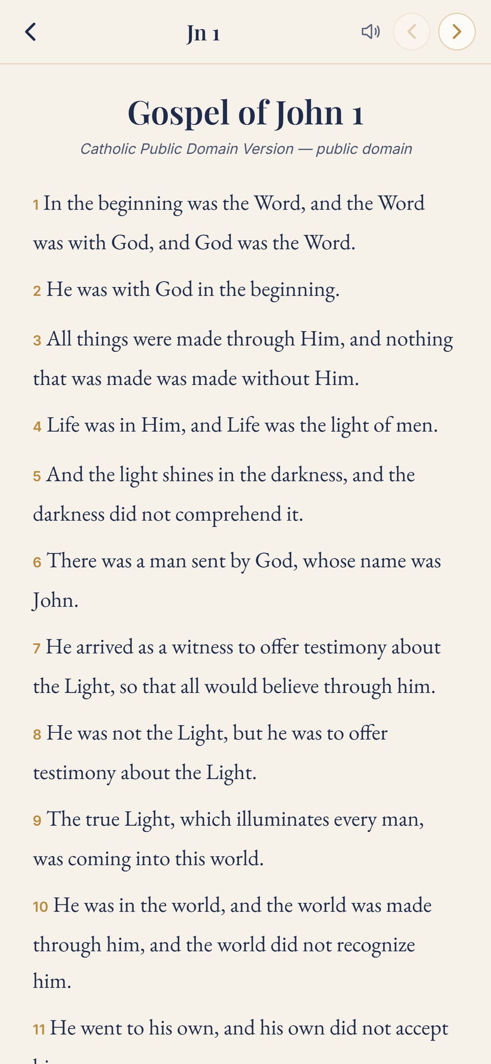The Bible reader on the Gospel according to John