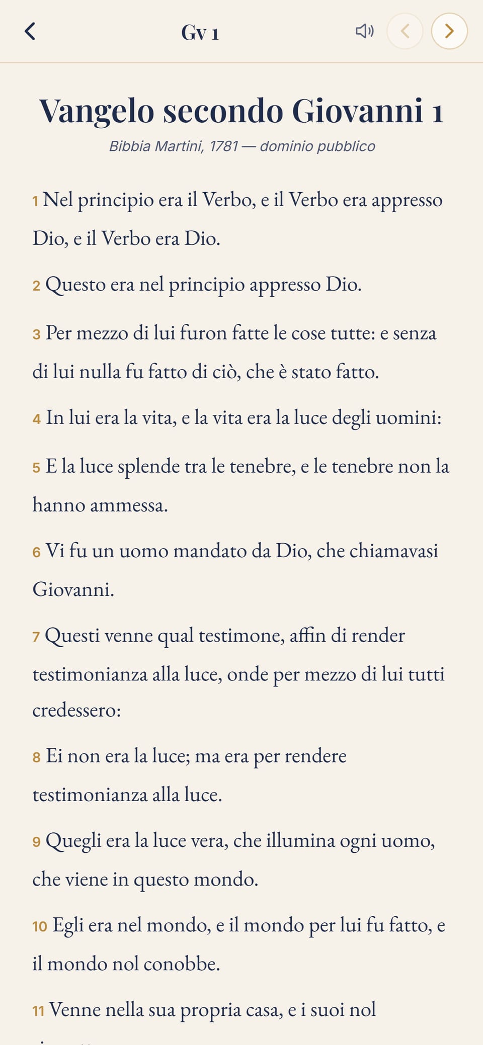 Il lettore della Bibbia sul Vangelo secondo Giovanni